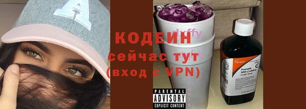 стафф Кодинск