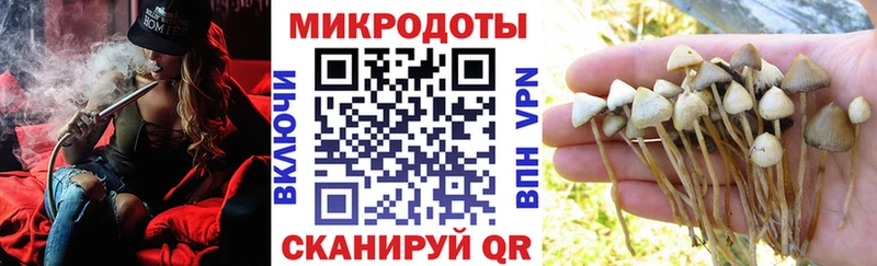 Псилоцибиновые грибы Psilocybine cubensis  Купить закладки  Белебей 